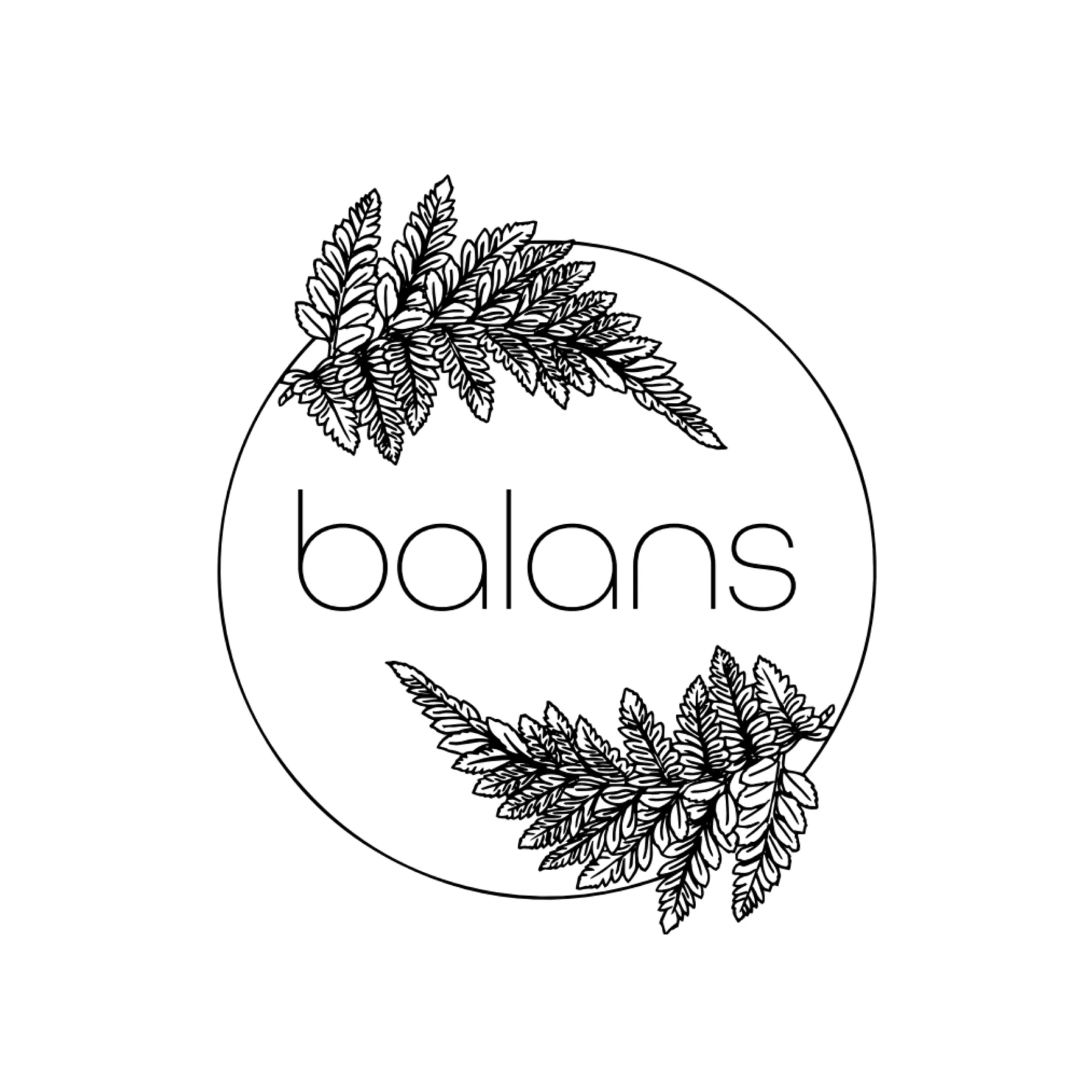 balans-logo