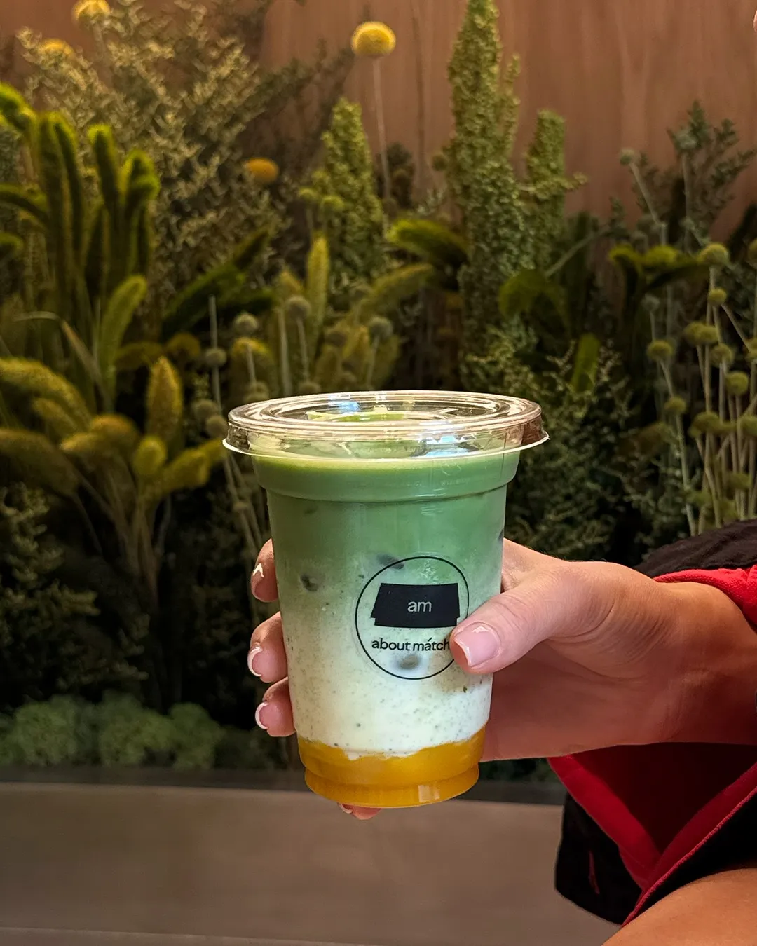 The About Matcha
